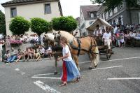 IMG_6488 (2) 